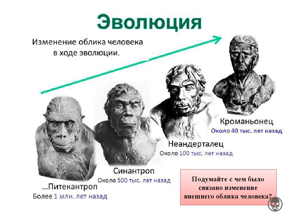 Антропологический облик древних людей презентация